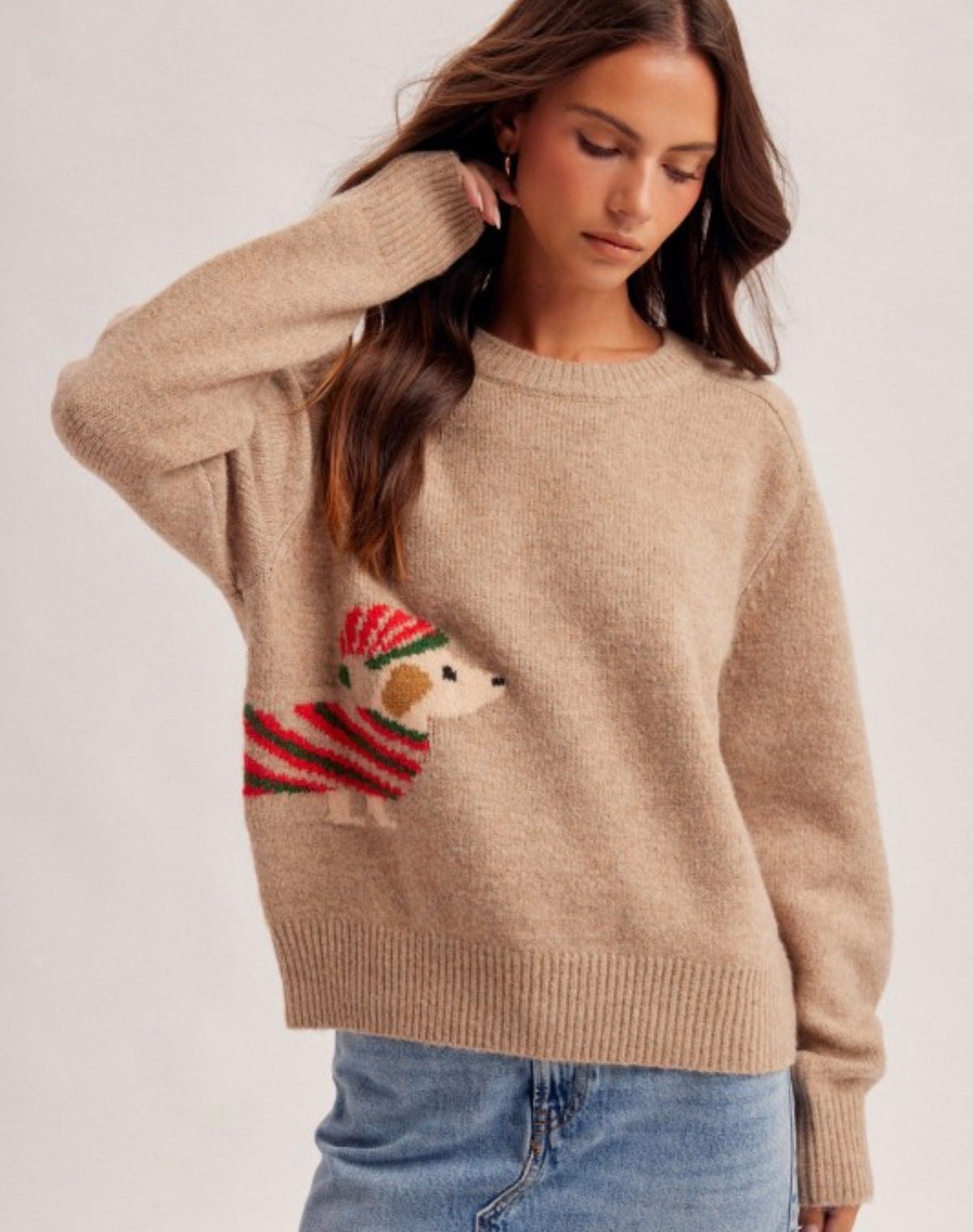 Santa Paws Christmas Sweater
